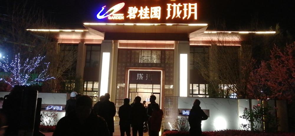 碧桂園弱電及售樓處亮化發(fā)光字項(xiàng)目